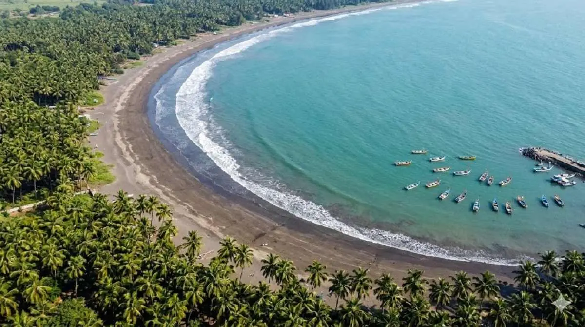 Beautiful coastline of Alibaug Maharashtra with beach resorts and palm trees