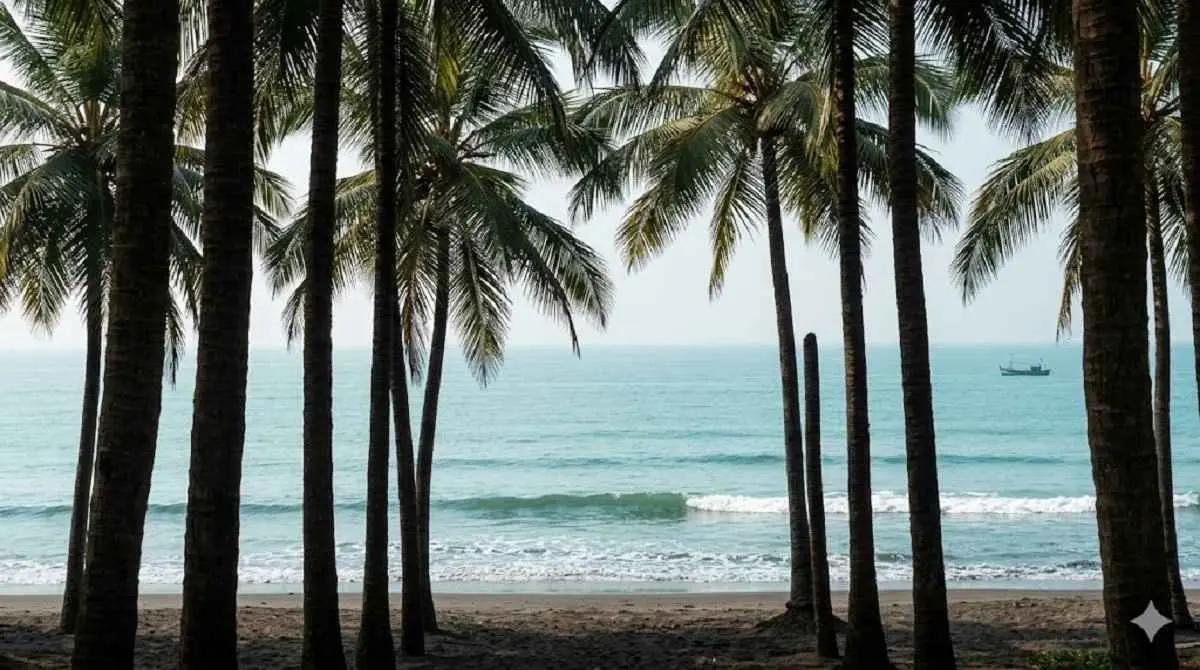 Beautiful coastline view of Alibaug beach and coastal resorts