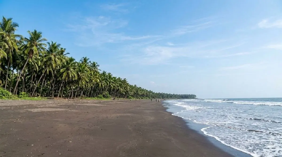 Nagaon Beach in Alibaug with coconut trees and sandy shoreline